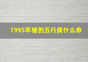 1995年猪的五行属什么命