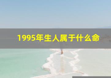 1995年生人属于什么命