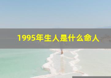 1995年生人是什么命人