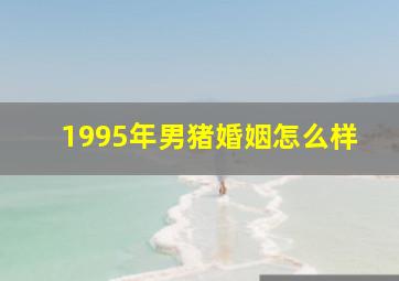 1995年男猪婚姻怎么样