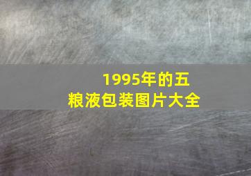 1995年的五粮液包装图片大全