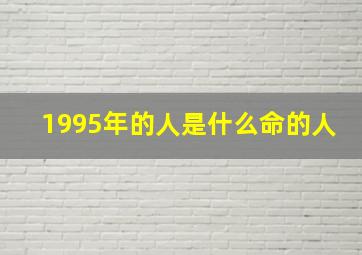 1995年的人是什么命的人