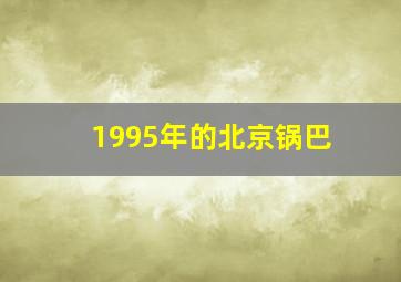 1995年的北京锅巴