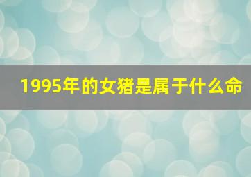 1995年的女猪是属于什么命