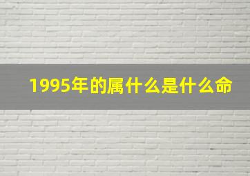 1995年的属什么是什么命