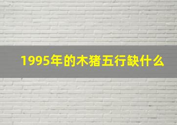 1995年的木猪五行缺什么