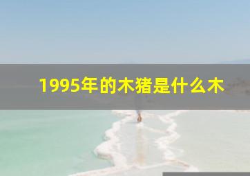 1995年的木猪是什么木