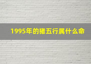 1995年的猪五行属什么命