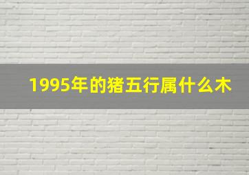 1995年的猪五行属什么木