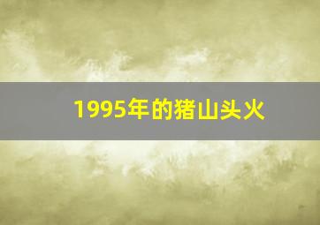 1995年的猪山头火