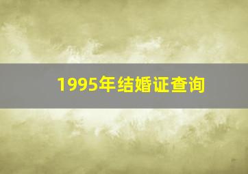 1995年结婚证查询