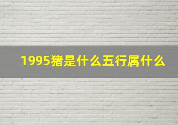 1995猪是什么五行属什么