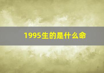 1995生的是什么命