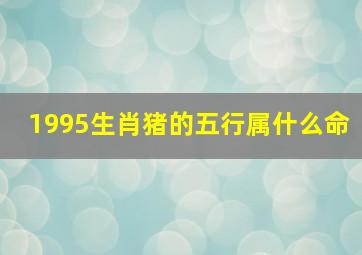 1995生肖猪的五行属什么命