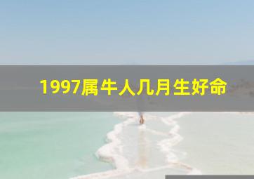 1997属牛人几月生好命