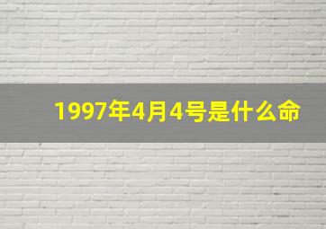 1997年4月4号是什么命