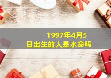 1997年4月5日出生的人是水命吗