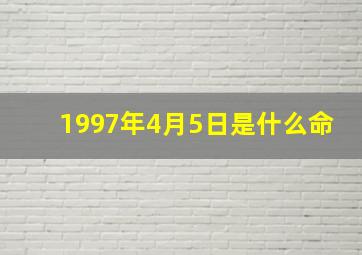 1997年4月5日是什么命