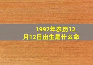 1997年农历12月12日出生是什么命