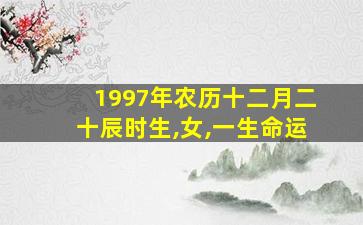 1997年农历十二月二十辰时生,女,一生命运