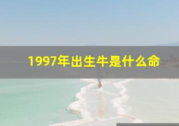 1997年出生牛是什么命