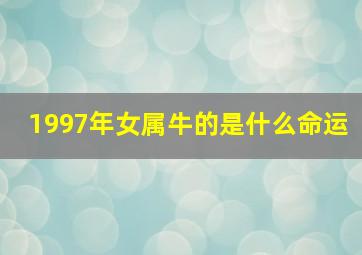 1997年女属牛的是什么命运