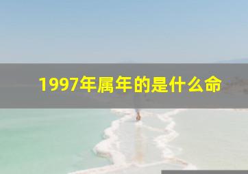 1997年属年的是什么命