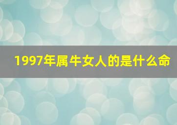 1997年属牛女人的是什么命