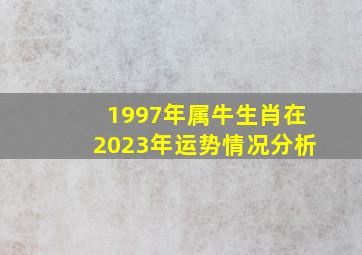 1997年属牛生肖在2023年运势情况分析