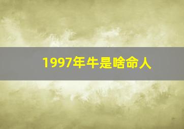 1997年牛是啥命人