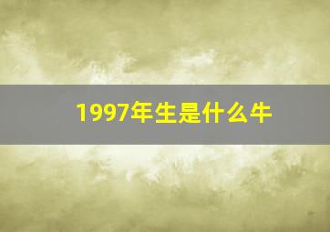 1997年生是什么牛