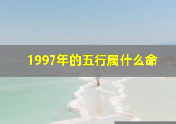 1997年的五行属什么命