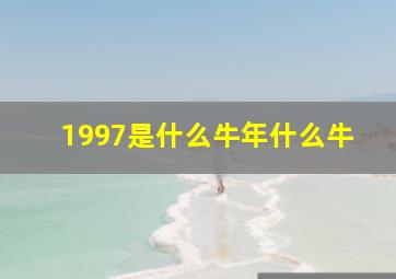 1997是什么牛年什么牛