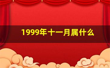 1999年十一月属什么