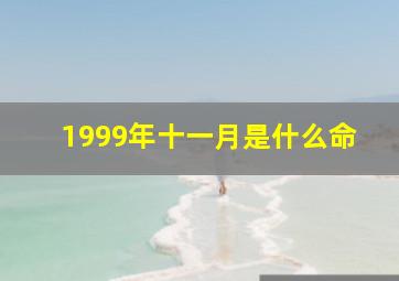 1999年十一月是什么命