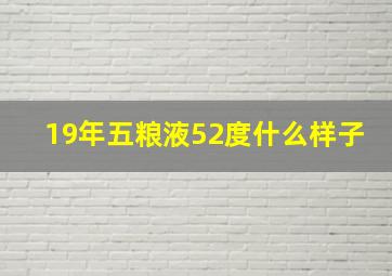 19年五粮液52度什么样子