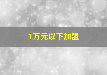 1万元以下加盟