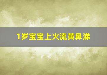 1岁宝宝上火流黄鼻涕