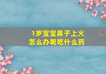 1岁宝宝鼻子上火怎么办呢吃什么药