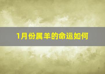 1月份属羊的命运如何