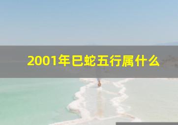 2001年巳蛇五行属什么