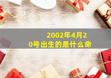 2002年4月20号出生的是什么命