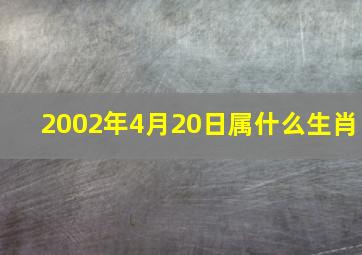 2002年4月20日属什么生肖