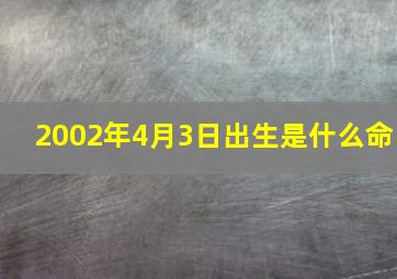 2002年4月3日出生是什么命