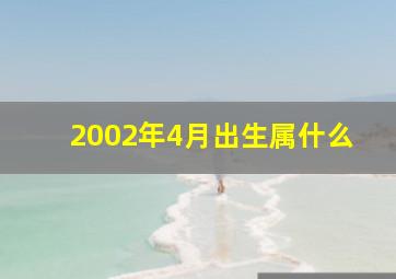 2002年4月出生属什么