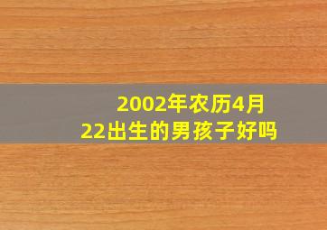 2002年农历4月22出生的男孩子好吗