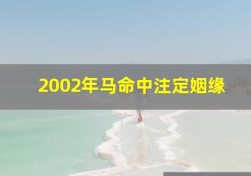 2002年马命中注定姻缘