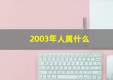 2003年人属什么