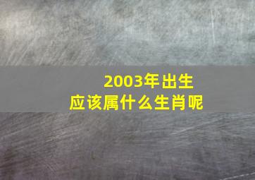 2003年出生应该属什么生肖呢