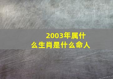 2003年属什么生肖是什么命人